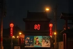 山河手记纪录片封面展示高原湿地与候鸟群